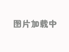 CLZ型齿式联轴器的特点
